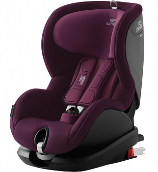 Burgundy Red