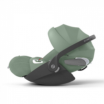  plus leaf green